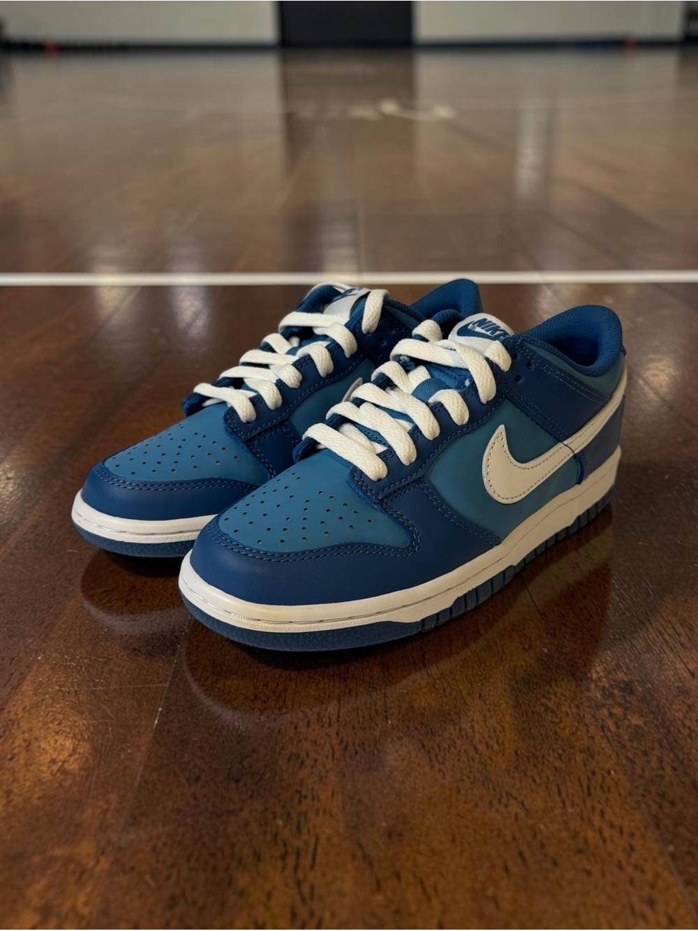 Nike Kids Blue and White Low Top Sneakers
